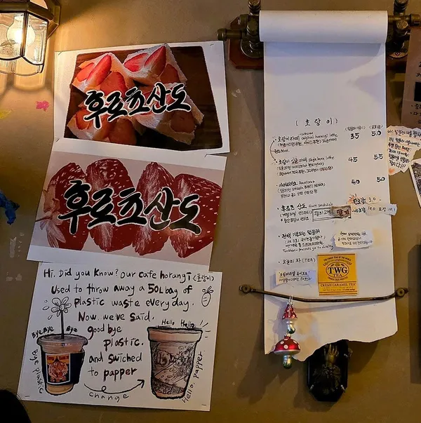호랑이 사진 5