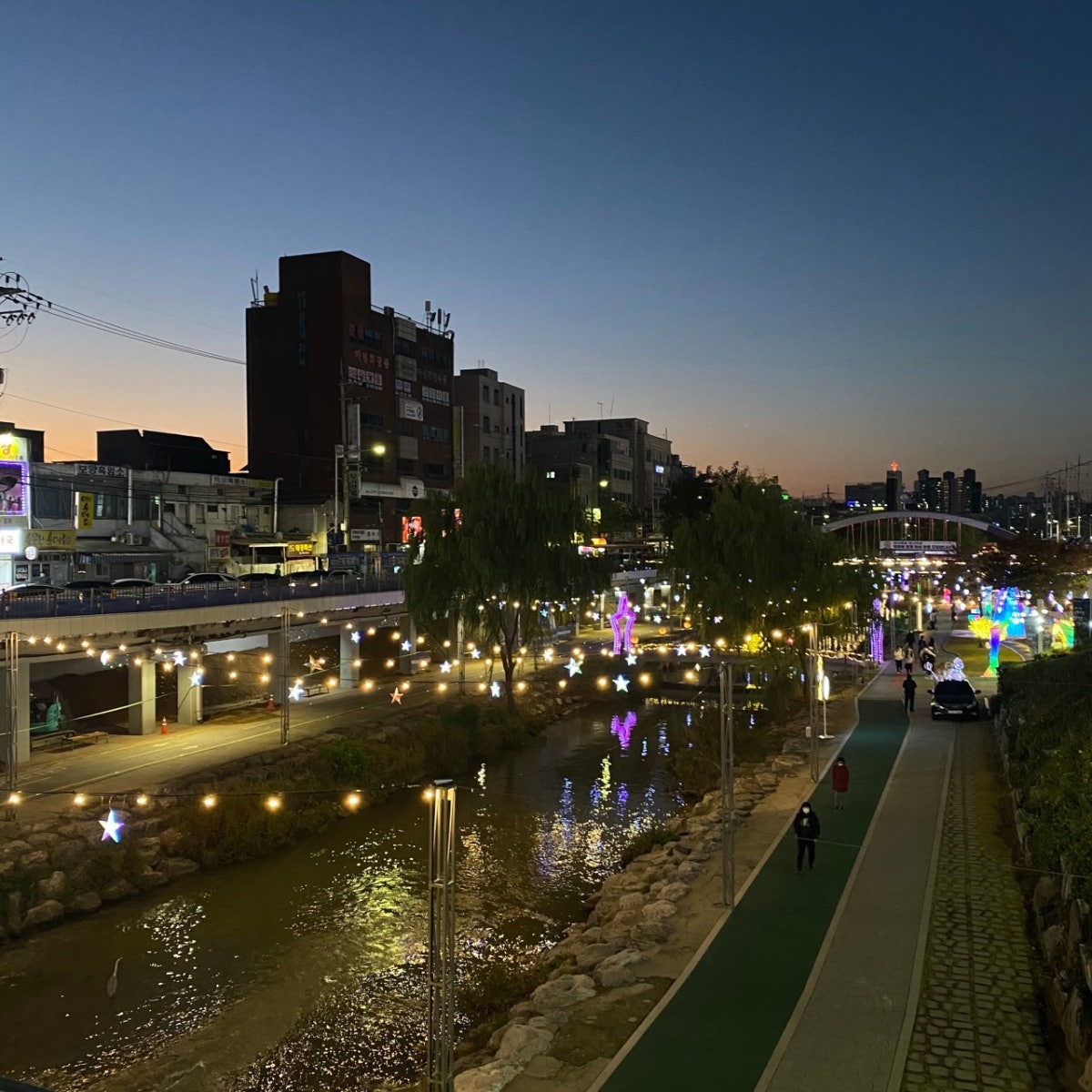 삼모스포렉스 사진 4
