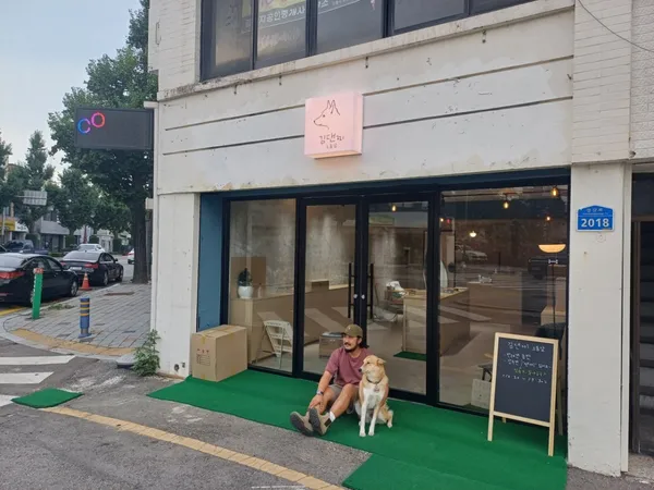 김댄찌 사진 4