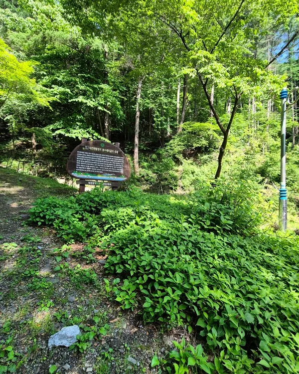 만인산 사진 2