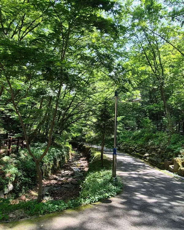 만인산 사진 4