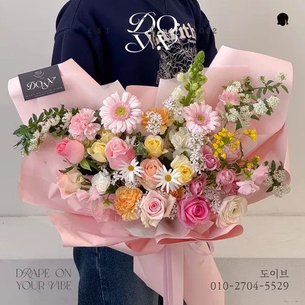 도이브 사진 3