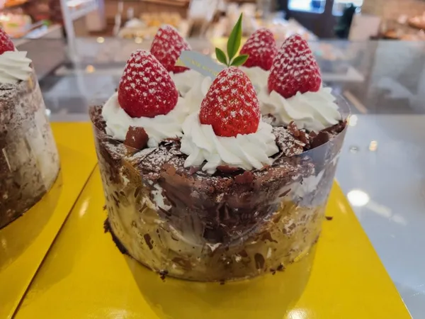 빠니스비떼 사진 5