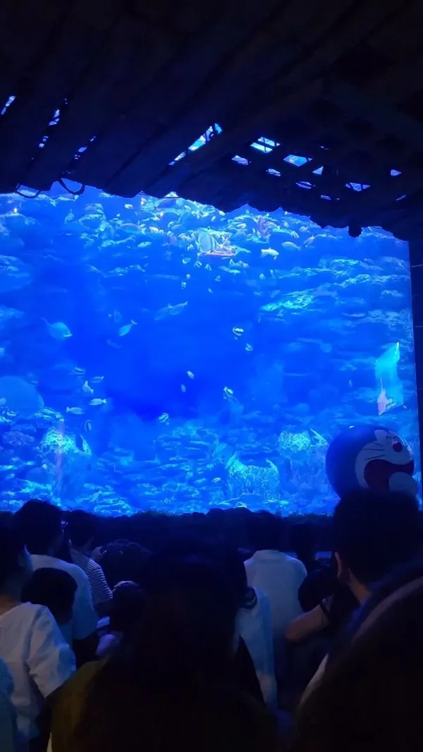 シーライフプサンアクアリウムの写真3