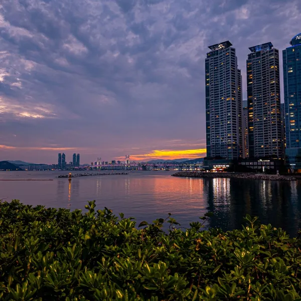 동백섬 사진 3
