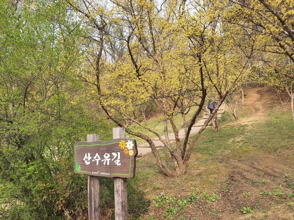올림픽공원 사진 4