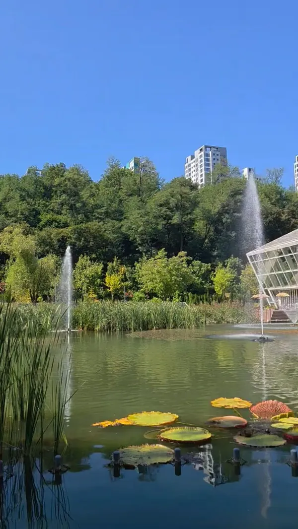 ヨンフン樹木園の写真2