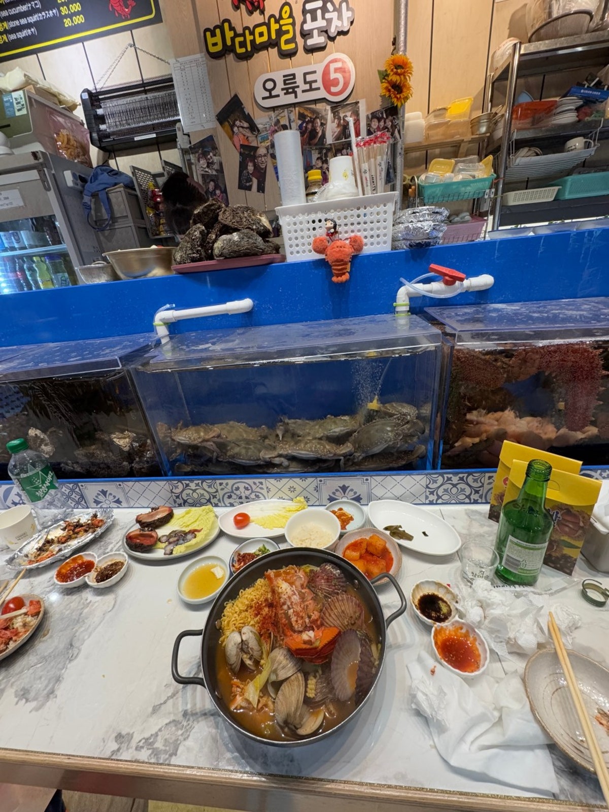 오륙도5호 사진 4