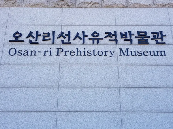 오산리선사유적박물관 사진 2