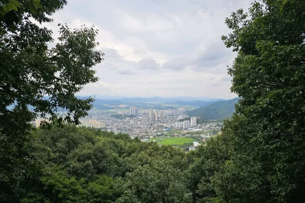만연산 사진 2