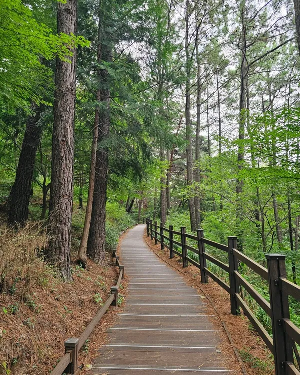 만연산 사진 3
