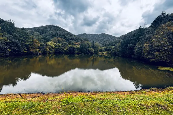 세량제 사진 2