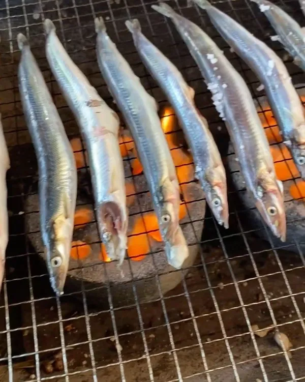 동명항오징어난전