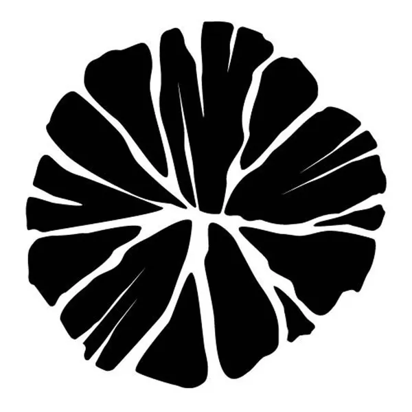 결탄숯불갈비 사진 3
