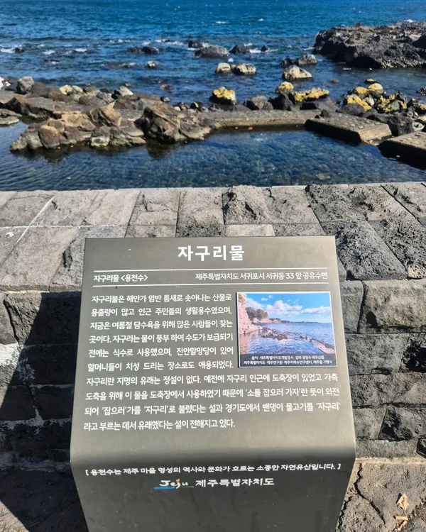 자구리공원담수욕장 사진 5