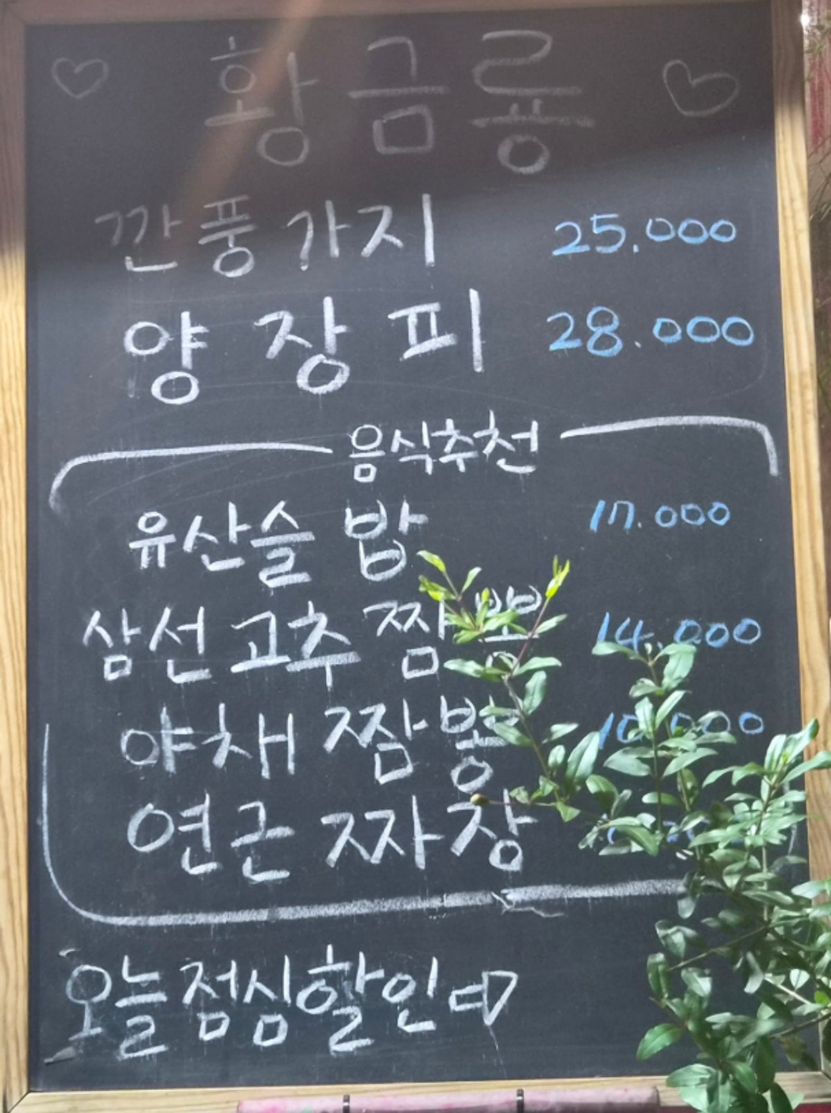 황금룡 사진 4