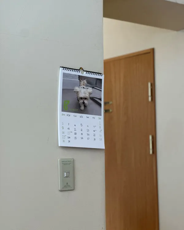 ロンアンドショートの写真4