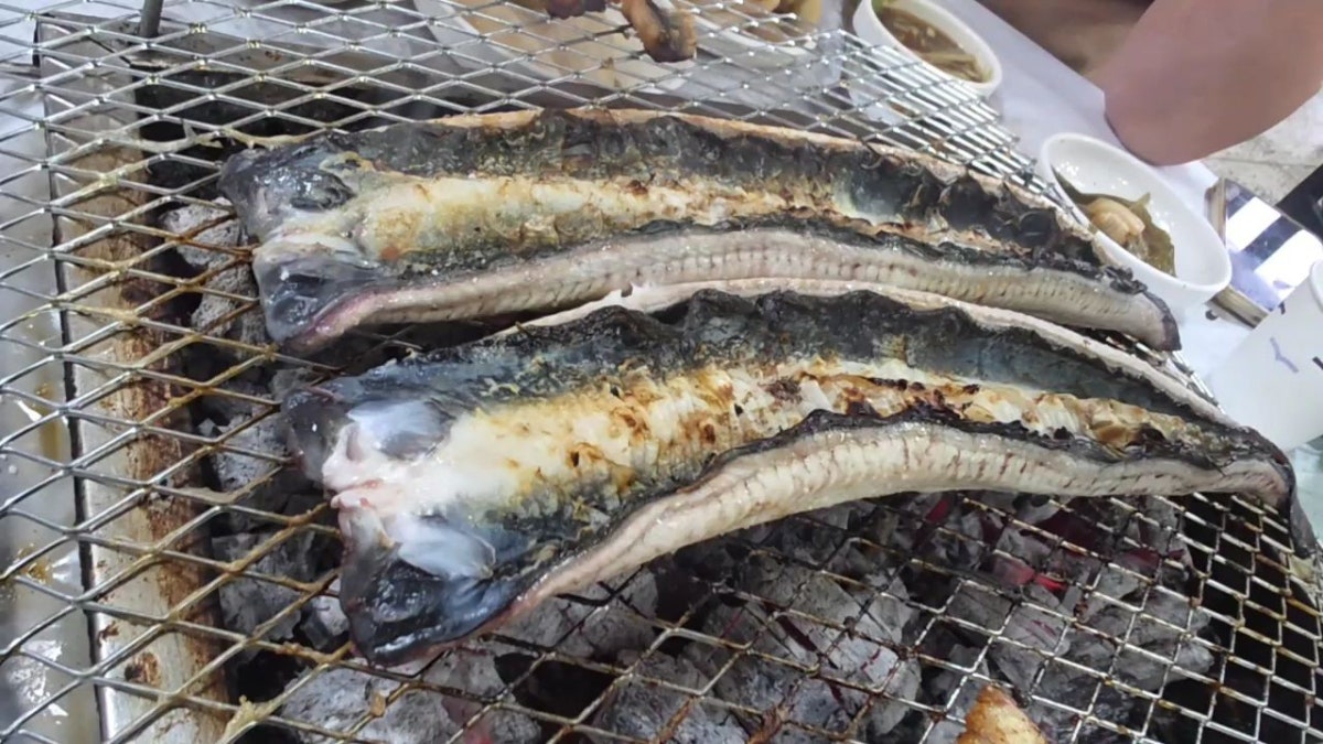 영산강숯불민물장어 사진 5
