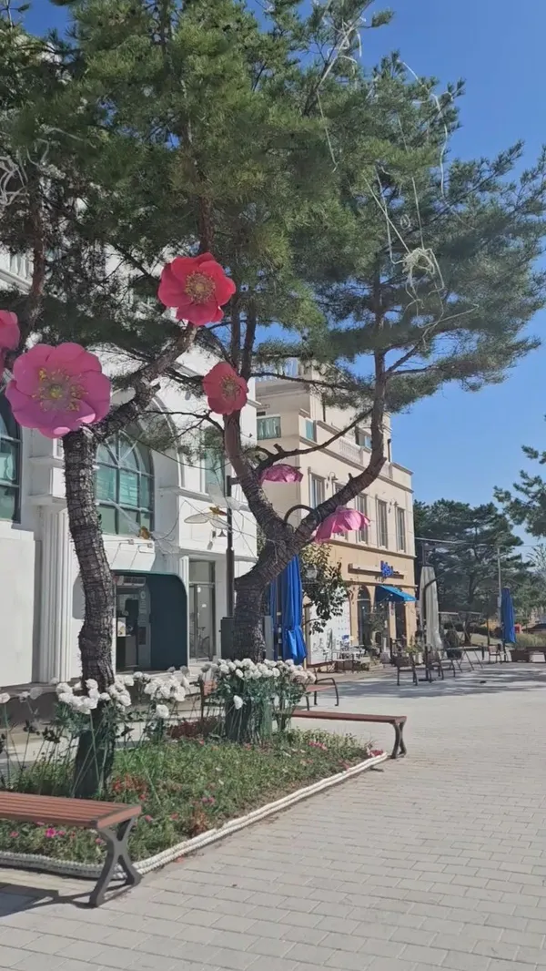아산지중해마을 사진 4