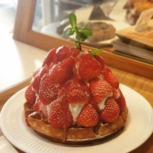 발루토피비 사진 4