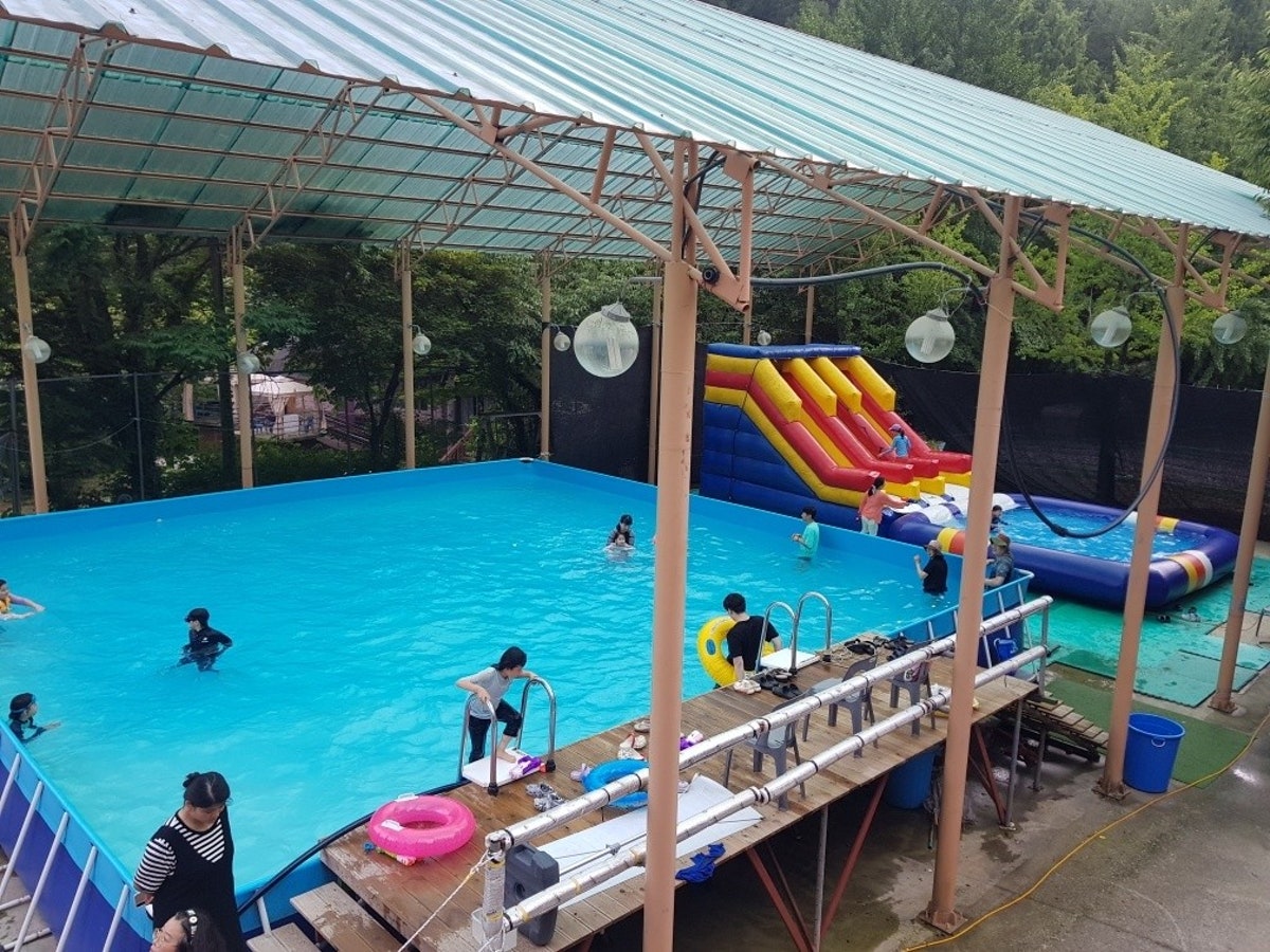 피노키오숲 사진 2