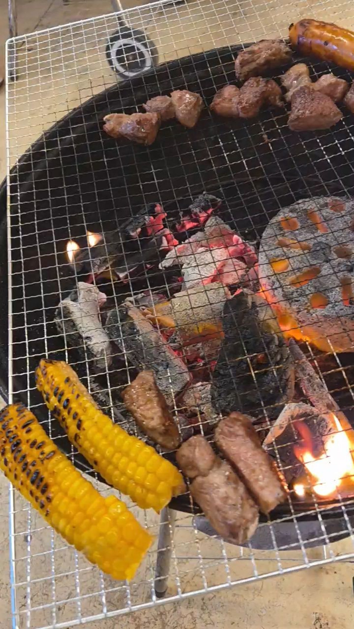 피노키오숲 사진 5