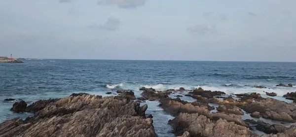 구룡포주상절리