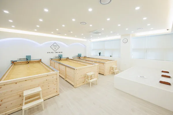 테르엔 전주효자점 사진 3