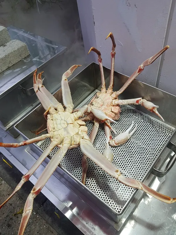 대성수산 대게직판점 창원점 사진 3