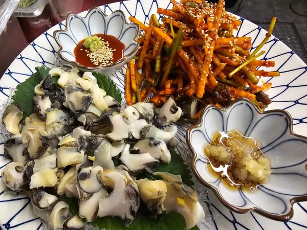 로바타카미 사진 5