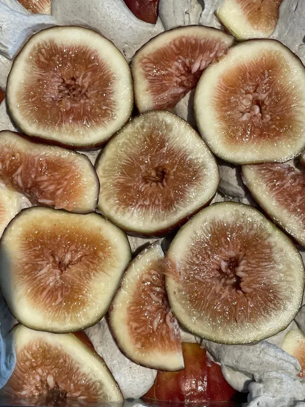 파피에카페 사진 3