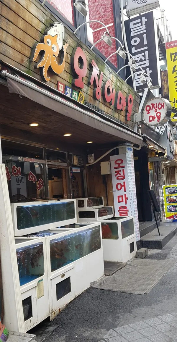 오징어마을 영등포직영점 사진 3