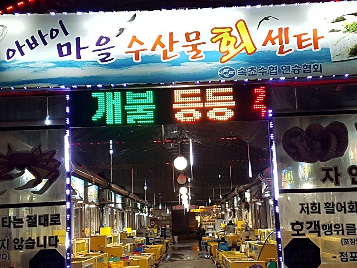 용일호횟집 사진 5