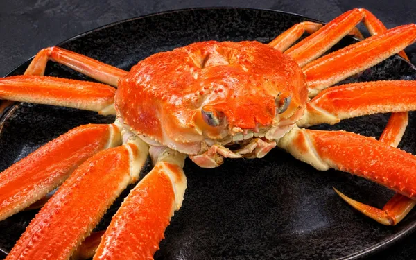 바다정원어시장 사진 4
