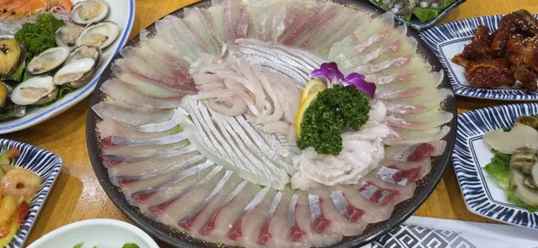 울진참가자미 사진 4