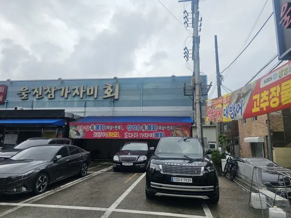 울진참가자미 사진 5