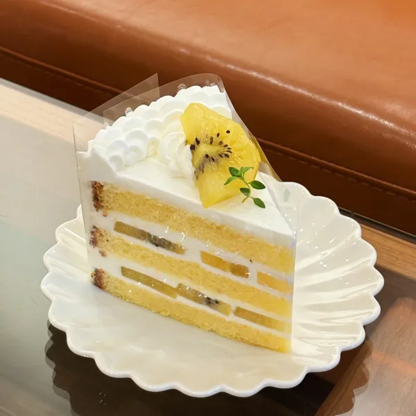 비마이문 사진 3