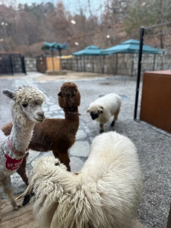 수달앤쥬 용인점 사진 2