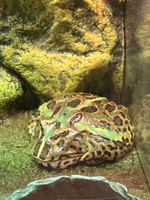 수달앤쥬 용인점 사진 4