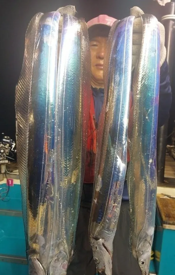 제이제이피싱 사진 2
