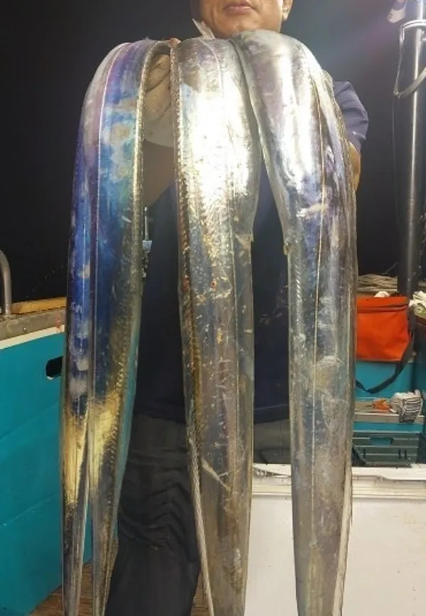 JJ Fishing, photo 4