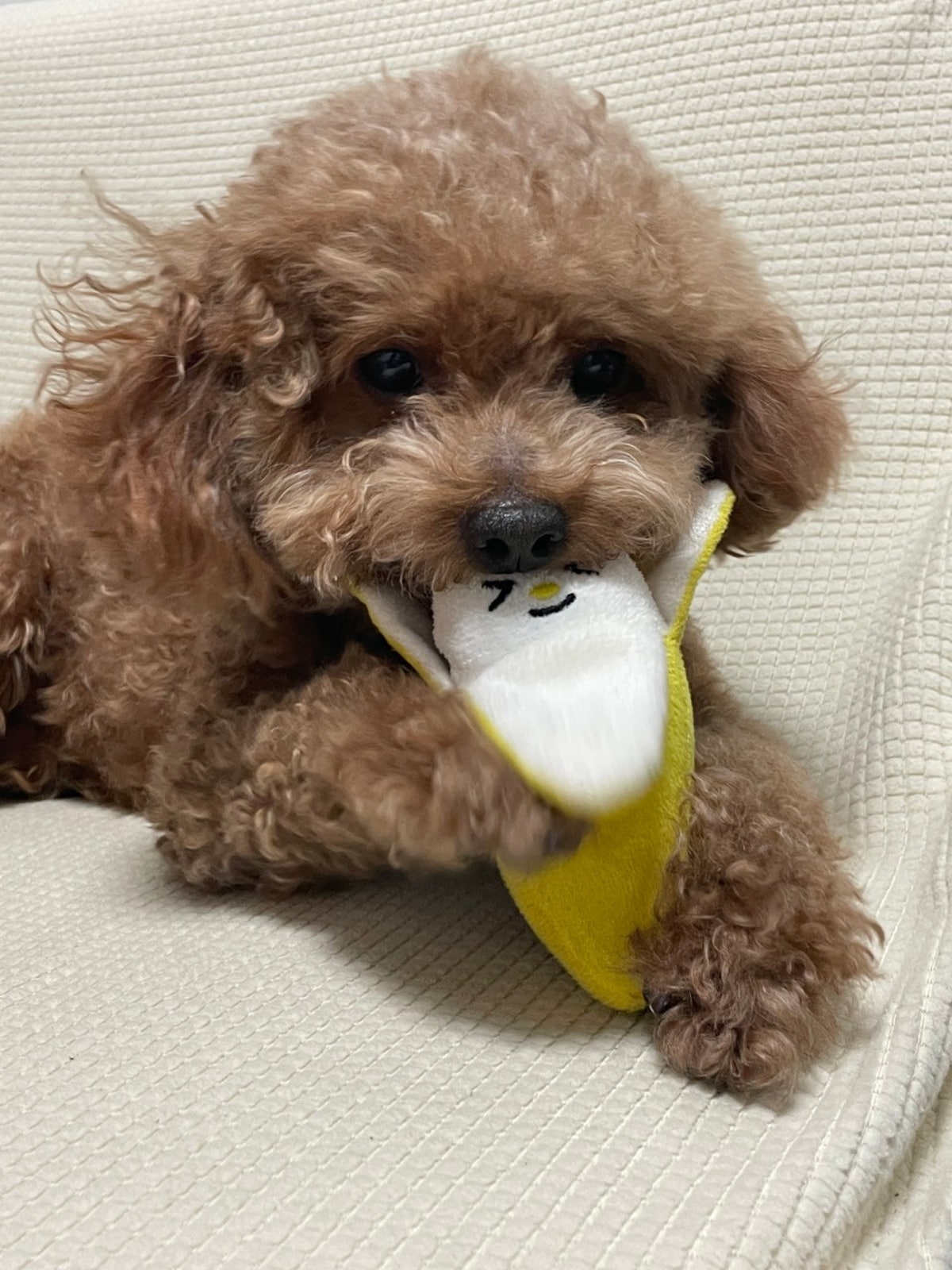 대고구려돼지국밥 진영점 사진 5