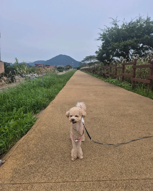 주남저수지 사진 5