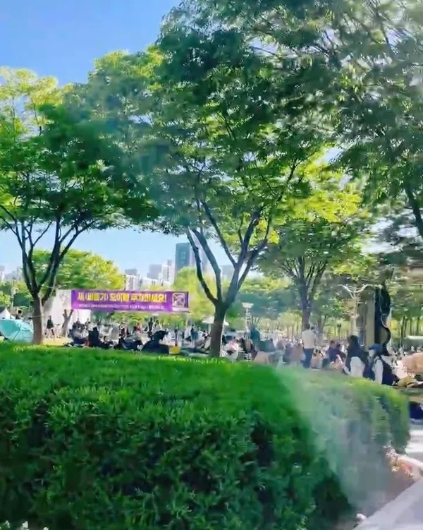 평촌중앙공원 사진 5