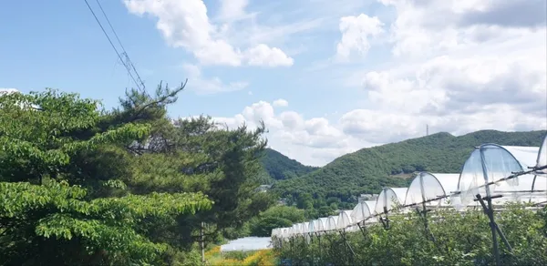 수우원 교육농장 사진 5