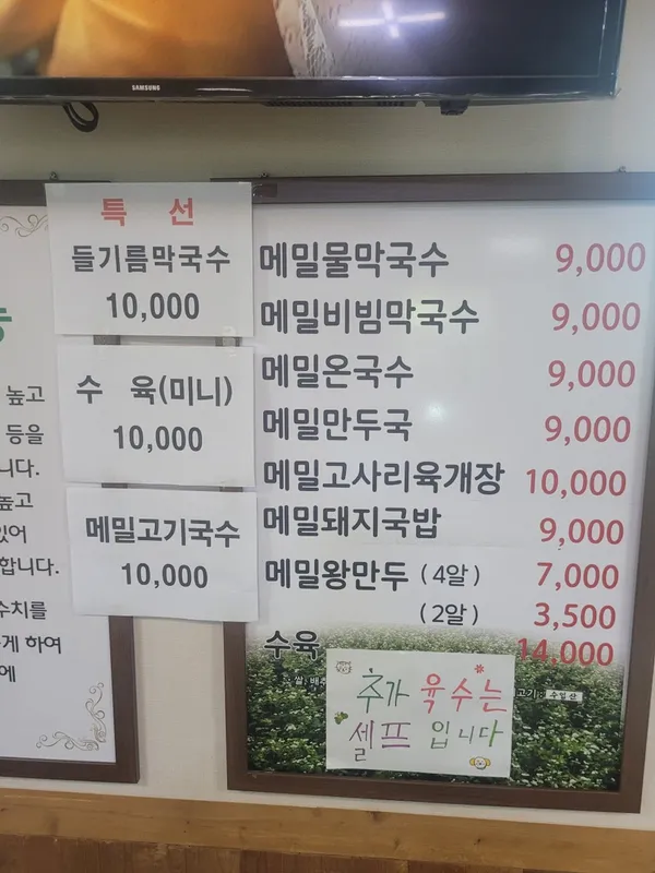 메밀꽃제주 사진 5