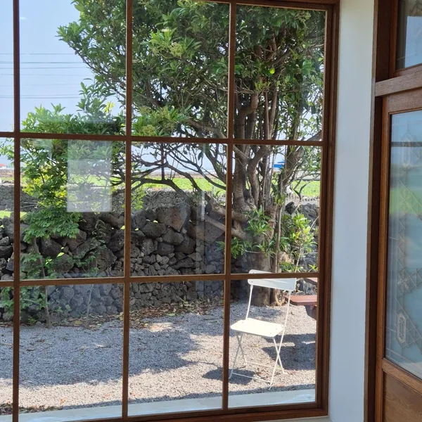 제주 추천 19탄 9곳