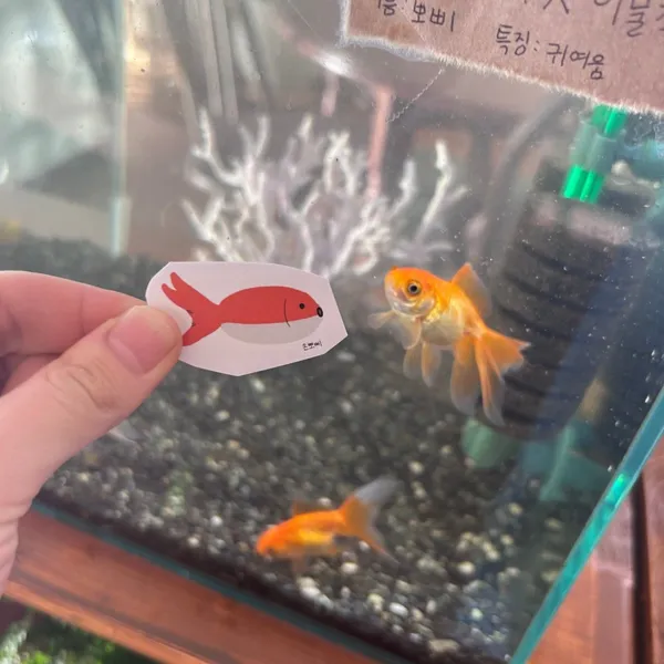 기복 사진 2