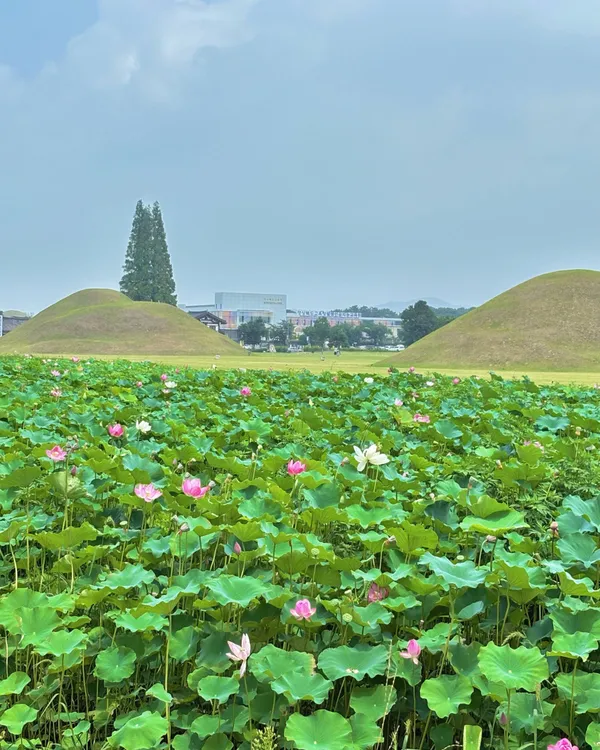 경주 황남리 고분군 사진 4