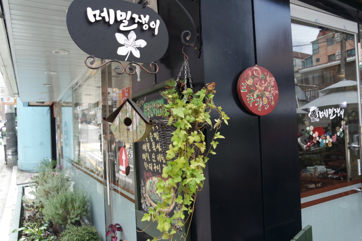 메밀쟁이 사진 5